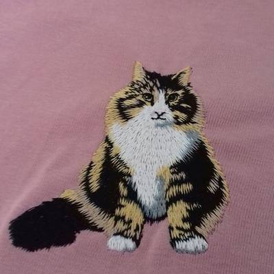 Chat - Copie