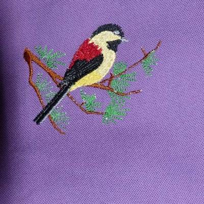 un oiseau sur la branche