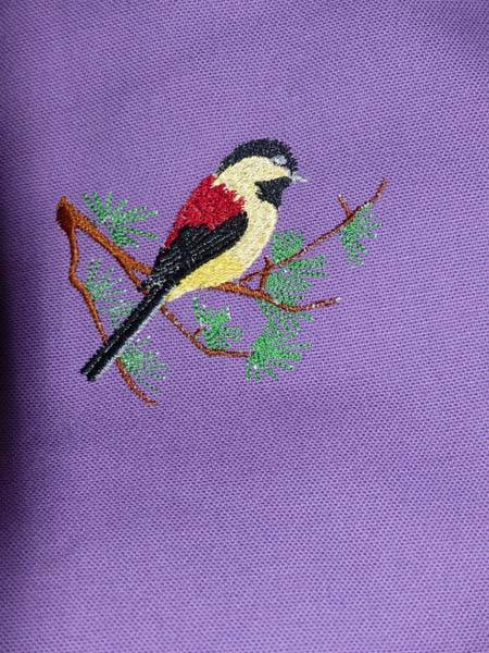 un oiseau sur la branche